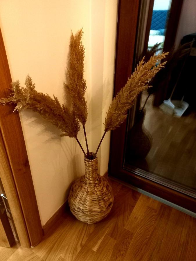 Zlatibor Apartman Luxury & Spa Dijana Exteriér fotografie