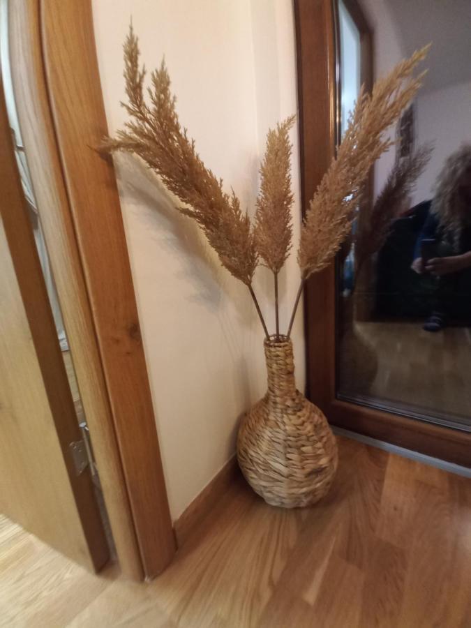 Zlatibor Apartman Luxury & Spa Dijana Exteriér fotografie