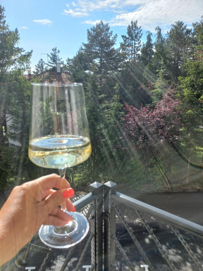 Zlatibor Apartman Luxury & Spa Dijana Exteriér fotografie