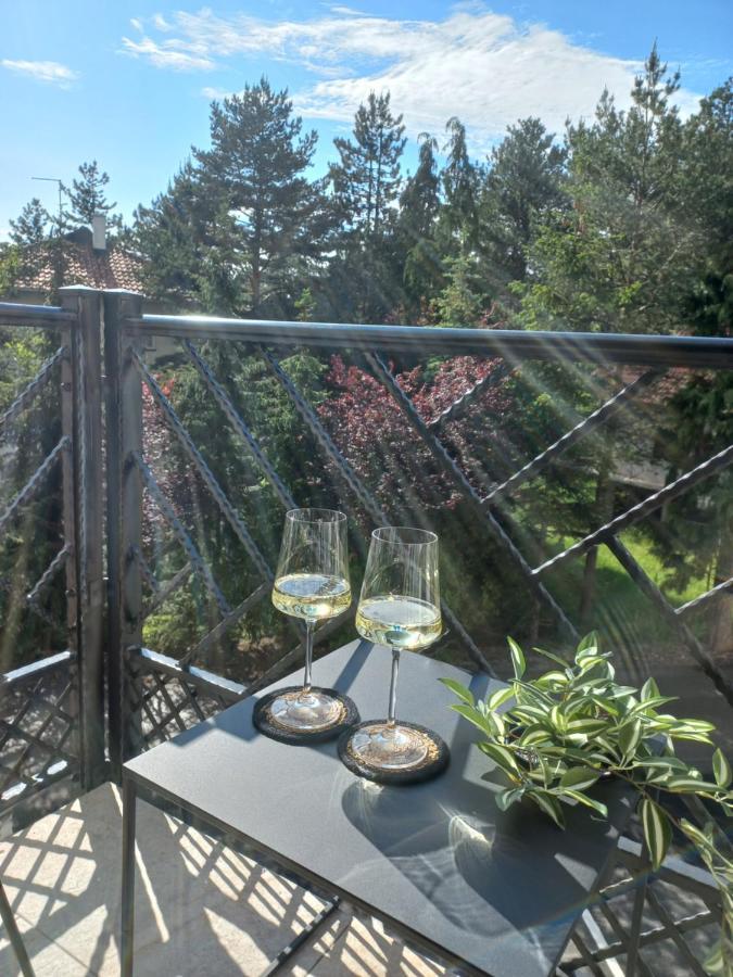 Zlatibor Apartman Luxury & Spa Dijana Exteriér fotografie